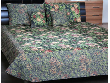 ������ �������� �����������