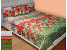 �������� ����������� ��������� ����