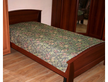 ������ ���������