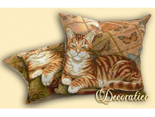 ���� ����� 50*50