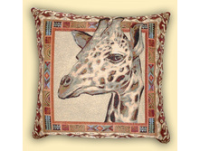 ����� 50*50 �� - ����� ��� �������