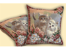 ������ ����� 50*50