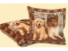 ����� ����� 50*50