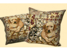 ����� � ������� ����� 50*50