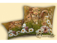 ���������  ����� 35*35