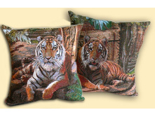 ����� ����� 38*38