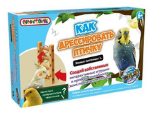 ��� �����*������� ���*���        �������!!!