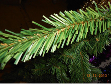 ������� ����������