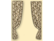 ���� ������� �������.jpg