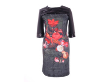 ������ 1802 (������)