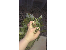IMAG0298.jpg