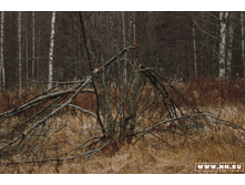 �������� ������