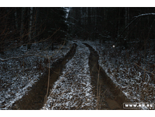 ����� ������