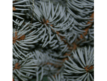 ���������� ���������� � �������� �� �������  ��� � ������ ������� � ����������� ����������� ���� 510 ���+18%