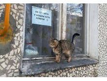 �� ������� - � ����� ���� ����