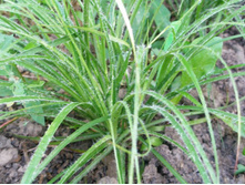 ����� ������-����� ������*