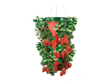 ��������� ������� ��� ����������� ��������.276 ���.