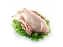 ���� ����������.jpg