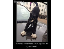 ������ �� ������.jpeg