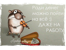 ���� �����.jpeg