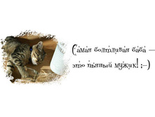 ����� ��������� ����.jpeg