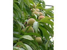 ����������� �����.jpeg