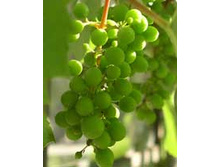 ����������� �������� �����..jpeg