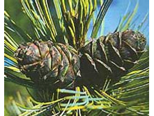 �������� �����.jpeg