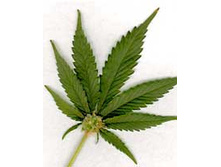 ���������� �����..jpeg