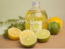 ���� � ��������� � �������������. ��� ������.jpg