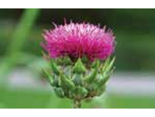 ���������� �����.jpeg