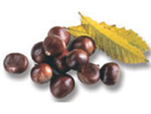 ����������� �����..jpeg