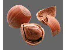 ��������� �����..jpeg