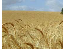 ��������� ������� �����..jpeg