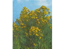 ������� � ���������� �������� �����..jpeg