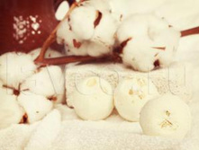 ���� � ������ (����������� �������).jpg