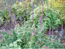 ������ ���������*)