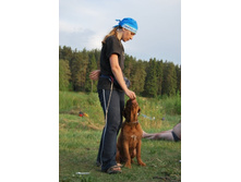 ���� ��������