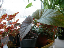 ���������� �. �������+)+/