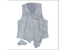 01*2 WT-BZ.JPG  700�