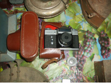 S5004346.JPG