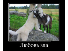 94072627_demotivatory_28jpglyubov_zla.jpg