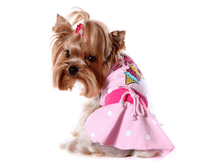 ���� ����� ������.png