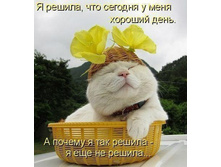 ������� ����.jpg