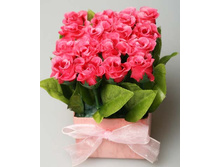 ������������� ������� � �����.jpg