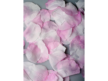 �������� ��� ����-�������.jpg