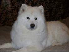 ����: ������� ����� ������ 