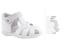 1550� ����