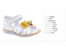 1550� ����