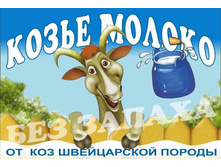 ���� ��������